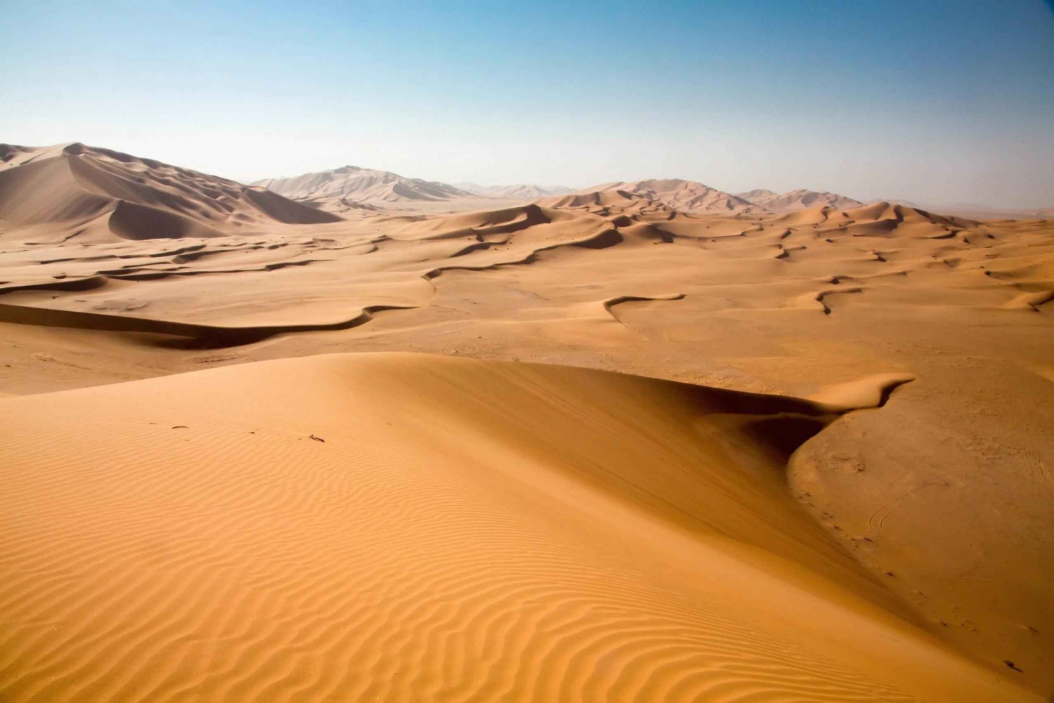 Excursion dans le désert : visite d'une jounée des sables de Wahiba et du Wadi Bani Khalid