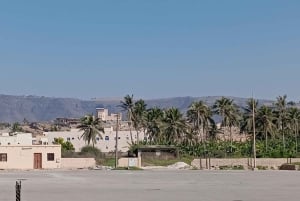 Dhofar : visite privée de la ville de Salalah et de l'est de Salalah
