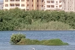 Dhofar : visite privée de la ville de Salalah et de l'est de Salalah