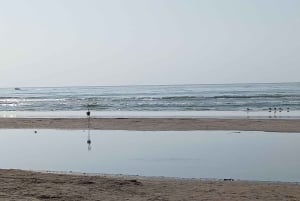 Dhofar : visite privée de la ville de Salalah et de l'est de Salalah