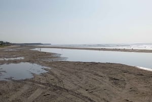 Dhofar : visite privée de la ville de Salalah et de l'est de Salalah