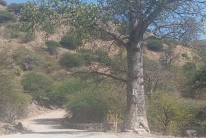 Dhofar : visite privée de la ville de Salalah et de l'est de Salalah