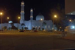 Dhofar : visite privée de la ville de Salalah et de l'est de Salalah