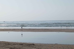 ظفار: جولة خاصة في مدينة صلالة وشرق صلالة