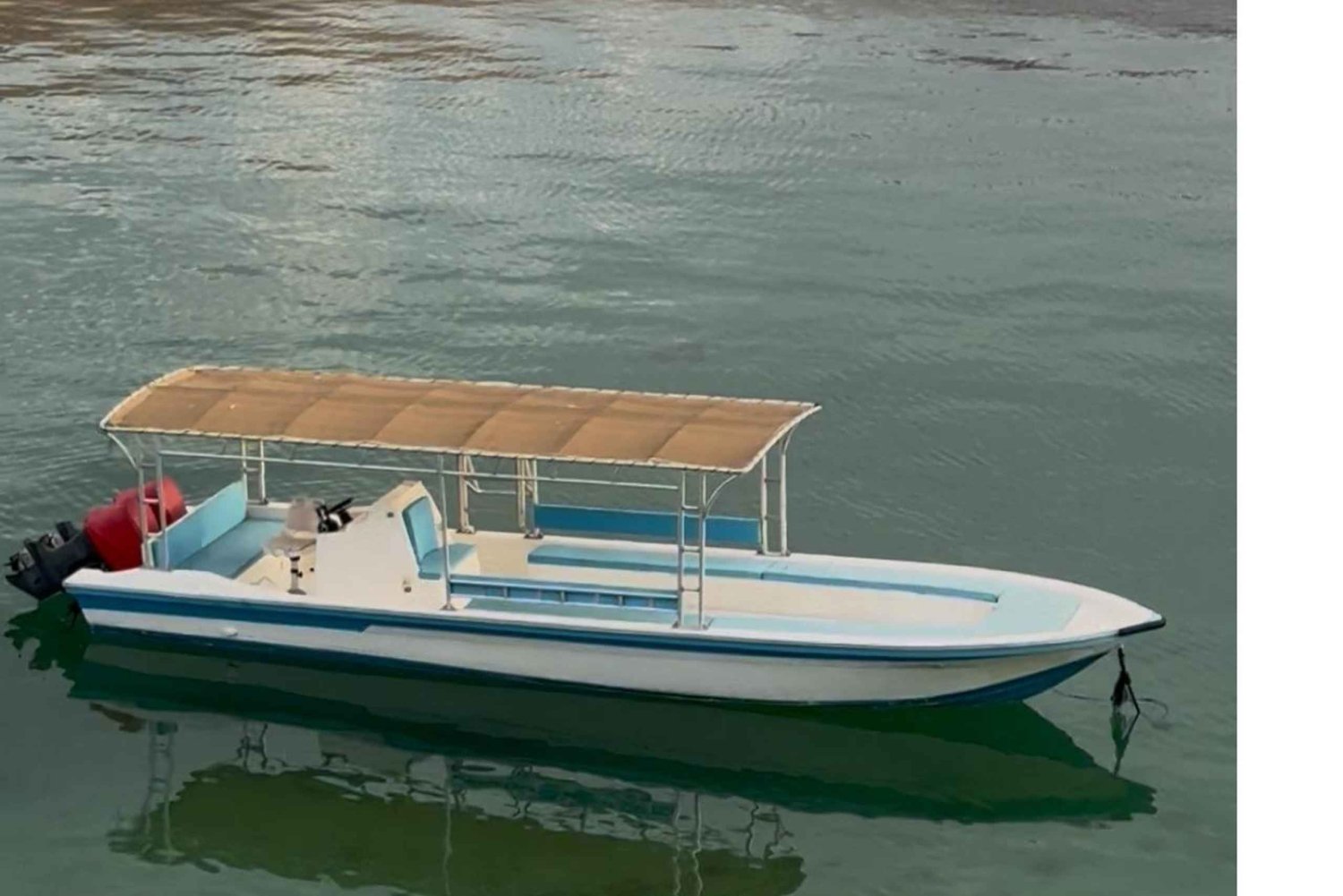 Desde Dubái-SHJ-Ajman-RAK: excursión de snorkel en Dibba Musandam