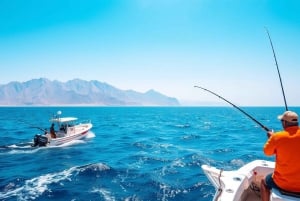 Desde Dubái-SHJ-Ajman-RAK: excursión de snorkel en Dibba Musandam