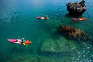 Ein Tag in Dibba Musandam