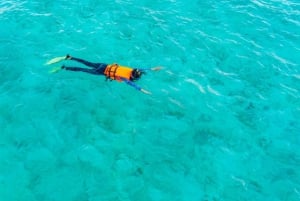 Ein Tag in Dibba Musandam