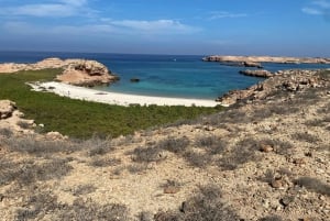 Île Dimaniyat : aventure de plongée avec tuba de 5 heures