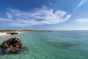 Île Dimaniyat : aventure de plongée avec tuba de 5 heures