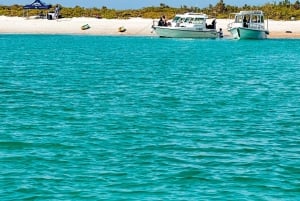 Île Dimaniyat : aventure de plongée avec tuba de 5 heures