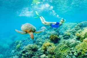 DIMANIYAT ISLAND Discover snorkel paradise in Muscat