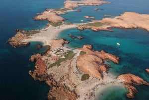 Dimaniyat Island-tur med snorkling
