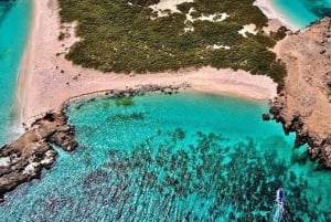 Visite de l'île de Dimaniyat avec plongée en apnée