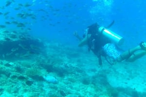 Dimaniyat Islands Scuba Diving Trip