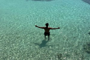 diymaniyat Plongée en apnée (nage avec des requins baleines ou des tortues)