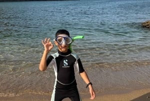 diymaniyat Plongée en apnée (nage avec des requins baleines ou des tortues)