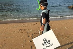 diymaniyat Plongée en apnée (nage avec des requins baleines ou des tortues)