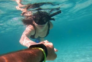 diymaniyat Plongée en apnée (nage avec des requins baleines ou des tortues)