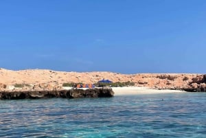 diymaniyat Plongée en apnée (nage avec des requins baleines ou des tortues)