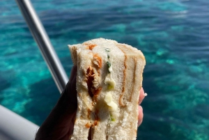 diymaniyat Plongée en apnée (nage avec des requins baleines ou des tortues)