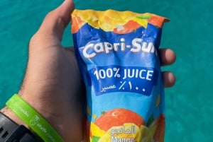 diymaniyat Plongée en apnée (nage avec des requins baleines ou des tortues)