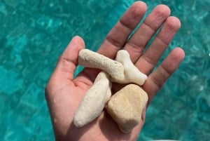 diymaniyat Plongée en apnée (nage avec des requins baleines ou des tortues)