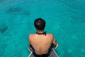 diymaniyat Plongée en apnée (nage avec des requins baleines ou des tortues)