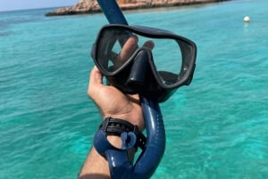 diymaniyat Plongée en apnée (nage avec des requins baleines ou des tortues)