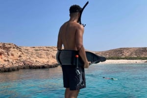 diymaniyat Plongée en apnée (nage avec des requins baleines ou des tortues)