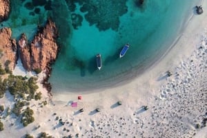 diymaniyat Plongée en apnée (nage avec des requins baleines ou des tortues)