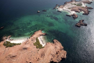 diymaniyat Plongée en apnée (nage avec des requins baleines ou des tortues)