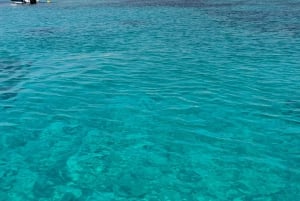 diymaniyat Plongée en apnée (nage avec des requins baleines ou des tortues)