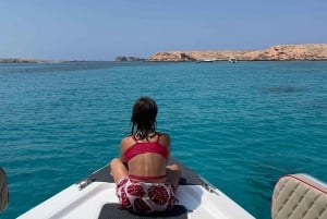 diymaniyat Plongée en apnée (nage avec des requins baleines ou des tortues)