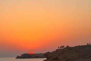 diymaniyat Plongée en apnée (nage avec des requins baleines ou des tortues)