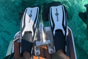 diymaniyat Plongée en apnée (nage avec des requins baleines ou des tortues)