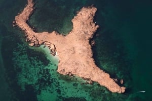 diymaniyat Plongée en apnée (nage avec des requins baleines ou des tortues)