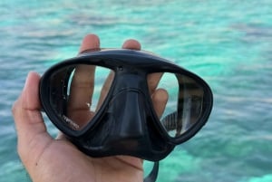 diymaniyat Plongée en apnée (nage avec des requins baleines ou des tortues)