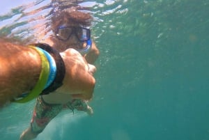 diymaniyat Plongée en apnée (nage avec des requins baleines ou des tortues)