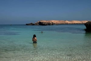 diymaniyat Plongée en apnée (nage avec des requins baleines ou des tortues)