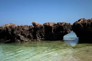 diymaniyat Plongée en apnée (nage avec des requins baleines ou des tortues)