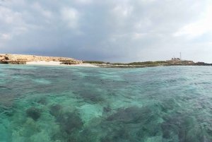 Ettermiddagstur med snorkling på Dimaniyat-øyene