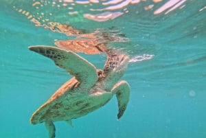 Dimaniyat Islands Snorkeling Tour afternoon