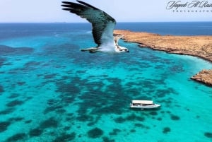 From Al-Seeb: Dimaniyat Islands Boat Trip with Snorkeling