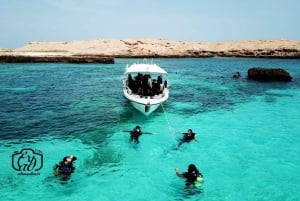 Fra Al-Seeb: Båttur til Dimaniyatøyene med snorkling