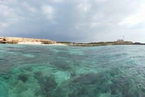 De Al-Seeb: Passeio de barco pelas ilhas Dimaniyat com mergulho com snorkel