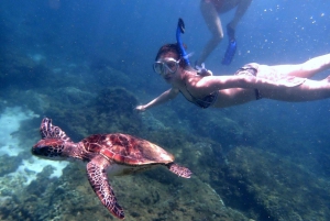 Viagem de snorkeling às Ilhas Dimaniyat