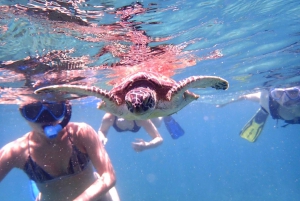 Viagem de snorkeling às Ilhas Dimaniyat