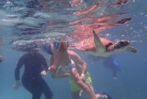 Snorkeling alle isole Daymaniyat