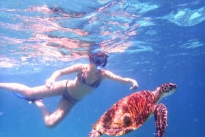 Snorkeling alle isole Daymaniyat